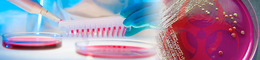 biosafety collage