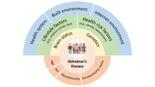 Interdisciplinary Approaches To Alzheimers Disease Prevention