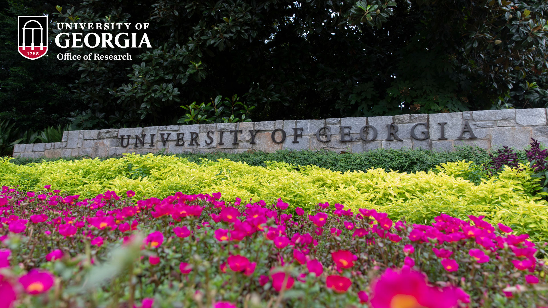 University of Georgia sign with flowers, Office of Research logo