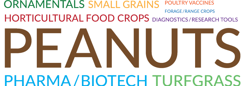 Word-Cloud-Products-FY15 Products