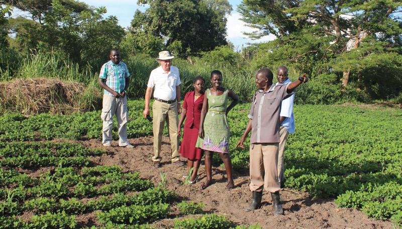 Dave Hoisington and other researchers make frequent trips abroad to see first-hand what problems farmers face and what scientists can do to help. Here he tours a small farm in Bugondo, Uganda, where peanuts are increasingly becoming a cash crop.