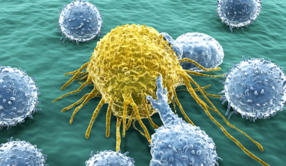 cancer cells attacking healthy cell