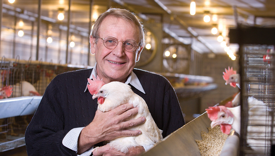 University of Georgia researcher Robert Ivarie poses with a chicken in a henhouse