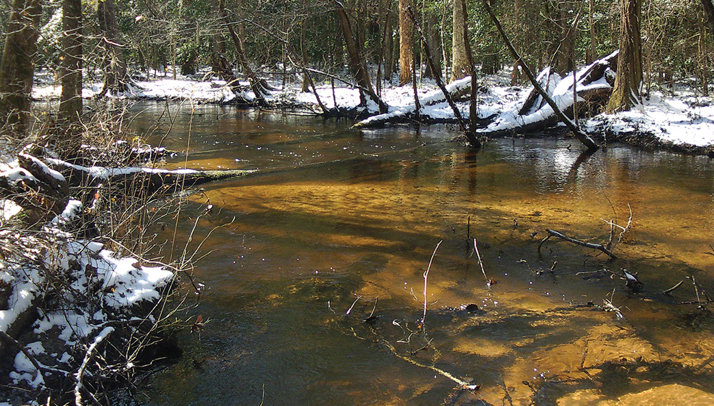 Tinker Creek is a pristine black water stream on the Savannah River Site. The bacteria in this stream are susceptible to antibiotics.
