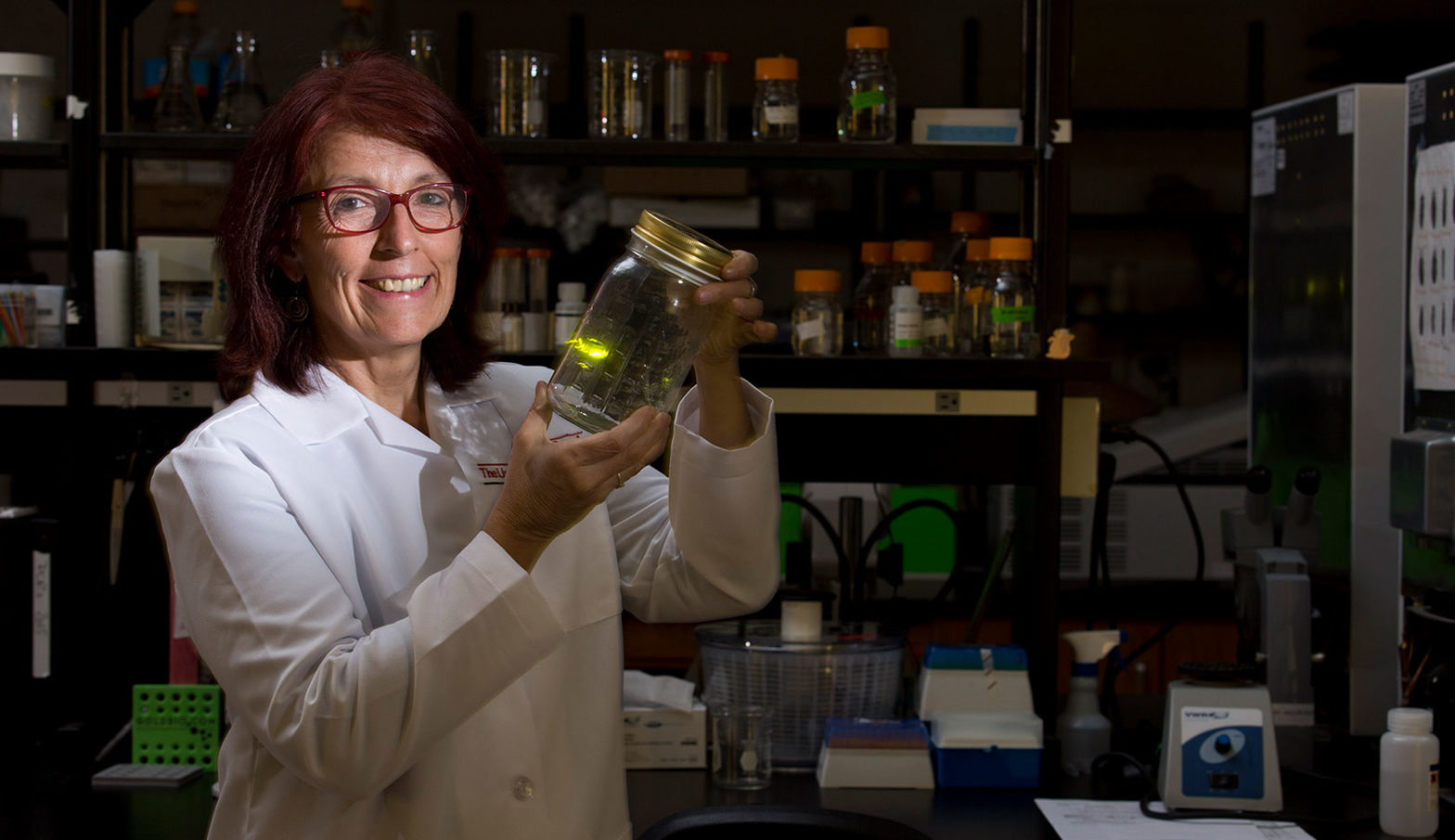 University of Georgia researcher Kathrin Stanger-Hall in her laboratory with firefly lure