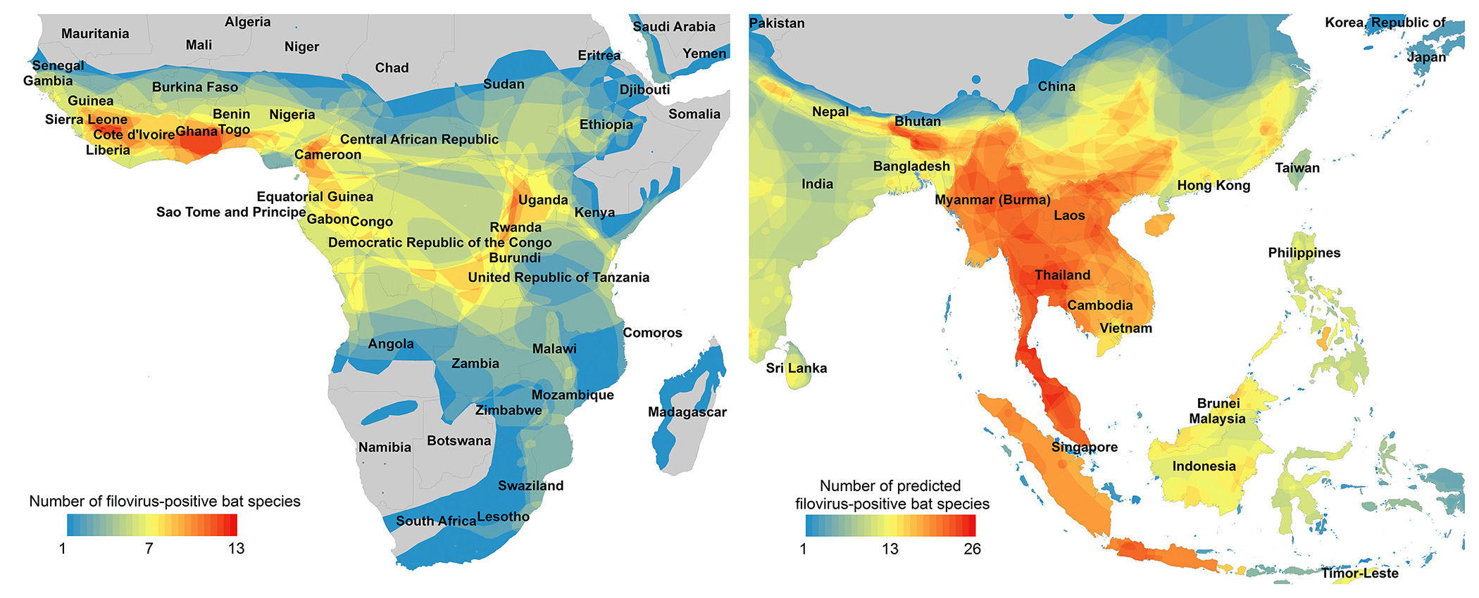 Map showing number of bat species infected with filovirus in Africa and Southeast Asia