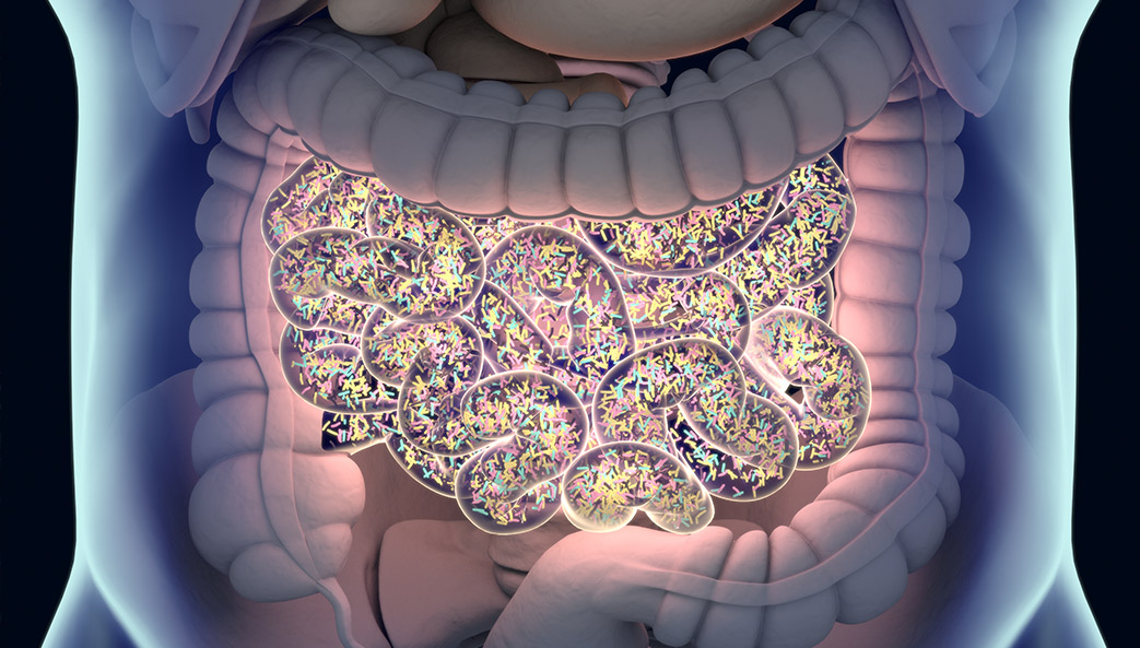 illustration of gut microbiome