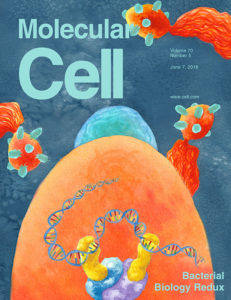 cover of Molecular Cell