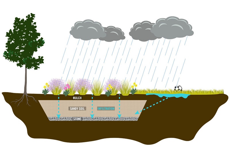illustration of how bioretention cell will filter runoff water