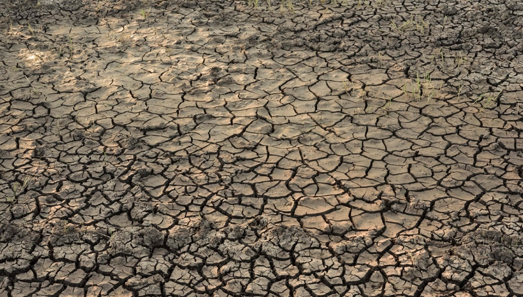 dry and cracked earth