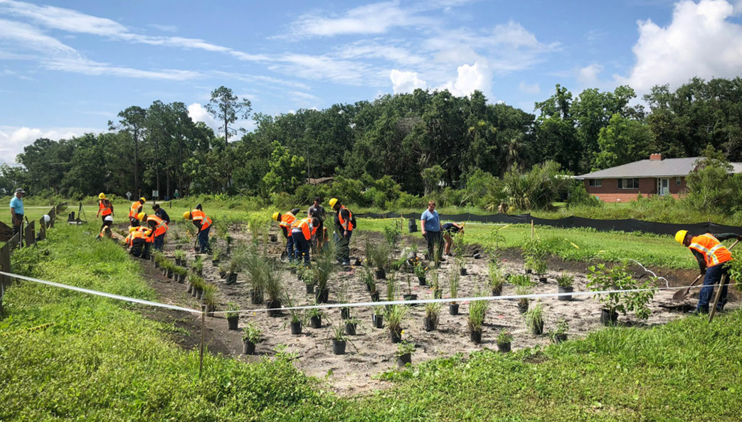 A variety of trees, shrubs, grasses and palms were installed at a site in Brunswick by the University of Georgia to help improve water quality