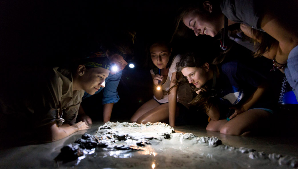University of Georgia students watching tiger-striped hermit crabs