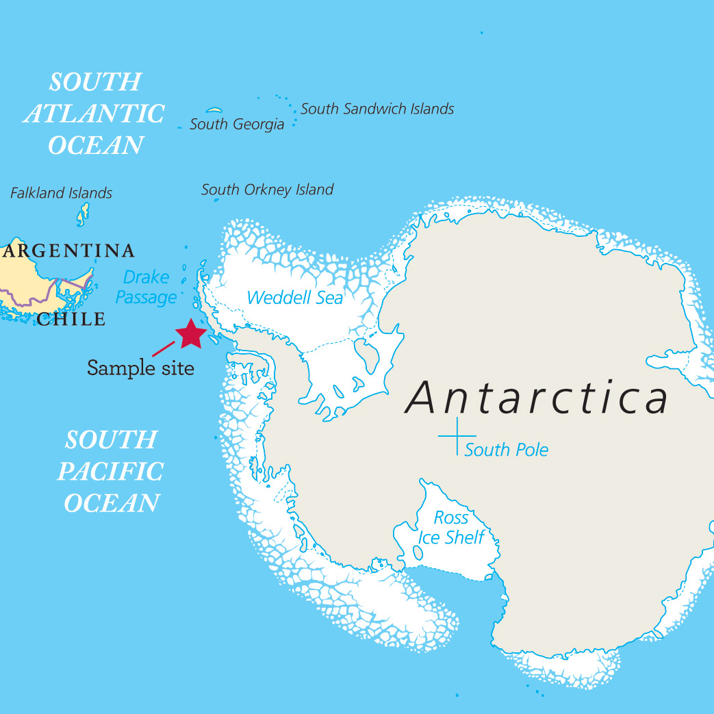 map of Antarctica showing research sample site off the coast