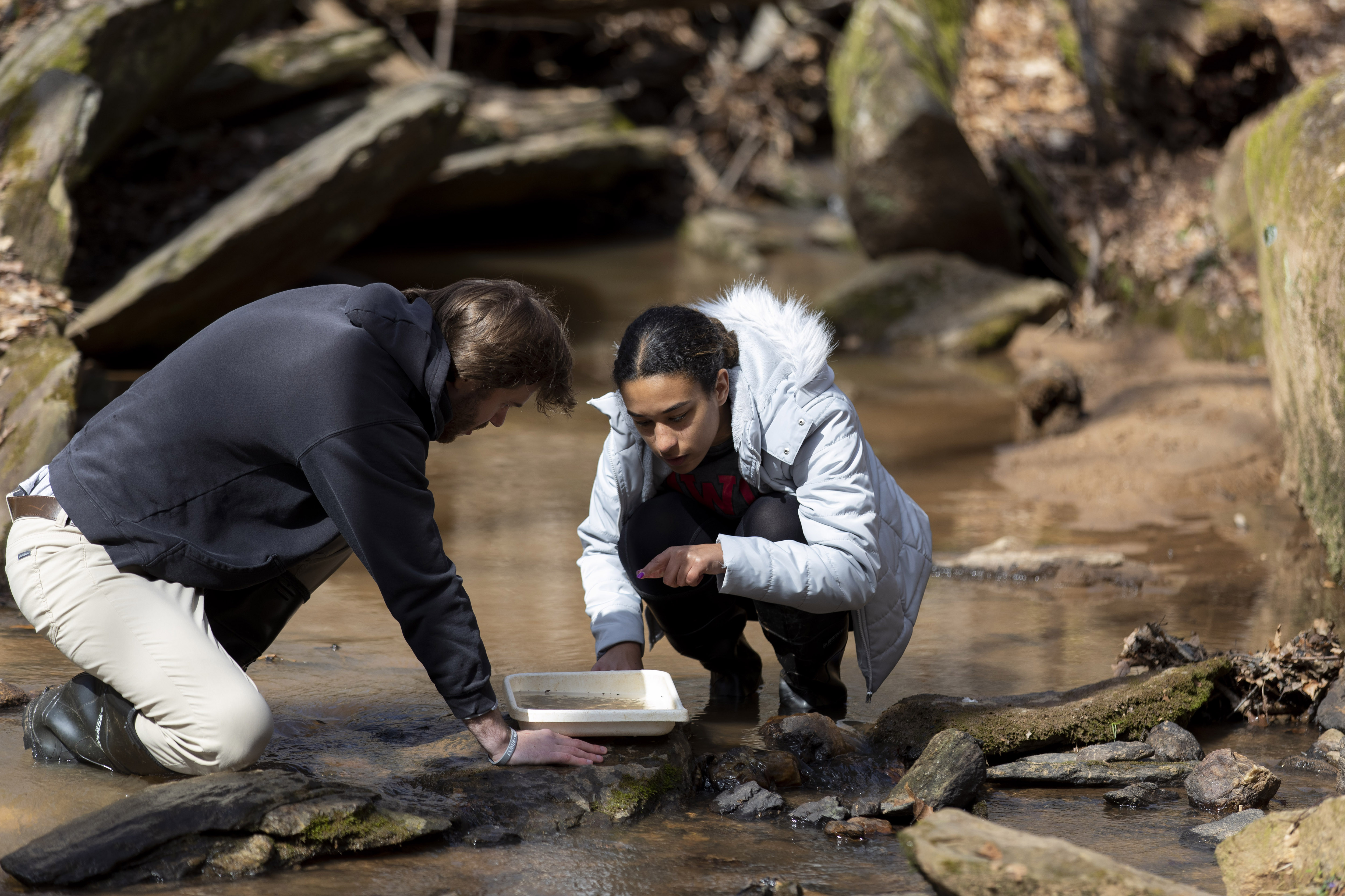 (L-R) Undergraduates William Churchwell and Cierra White look for small animals and bugs in a sampling tray as they sample as part of their Stream Ecology Lab in a stream off the orange trail at the State Botanical Gardens.
