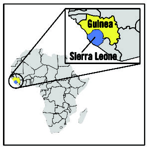 Guinea and Sierra Leone. (Credit: School of Social Work, University of Georgia)