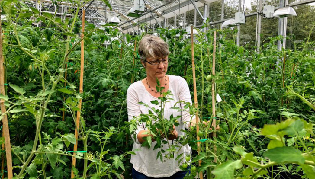 Esther van der Knapp in a greenhouse at UGA.