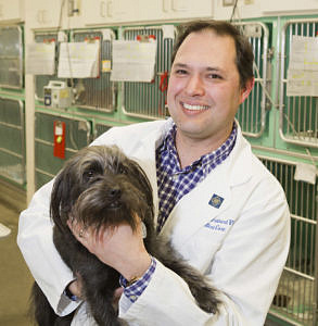 Benjamin Brainard is the Edward H. Gunst Professor of Critical Care at the College of Veterinary Medicine.