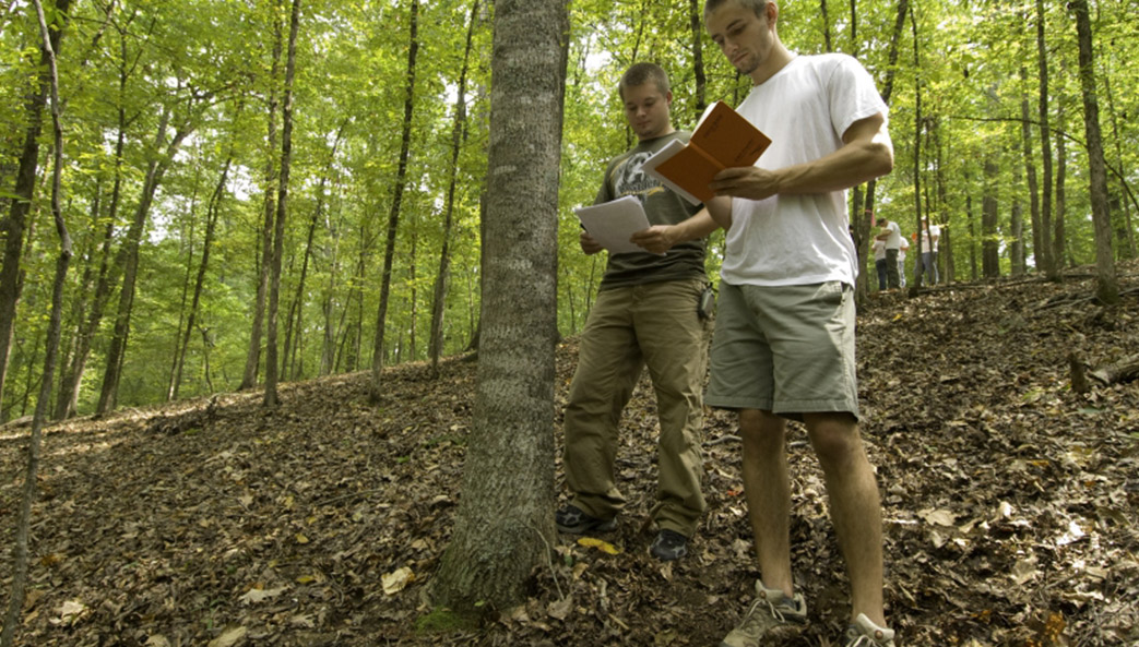 Warnell implements comprehensive forest management plan