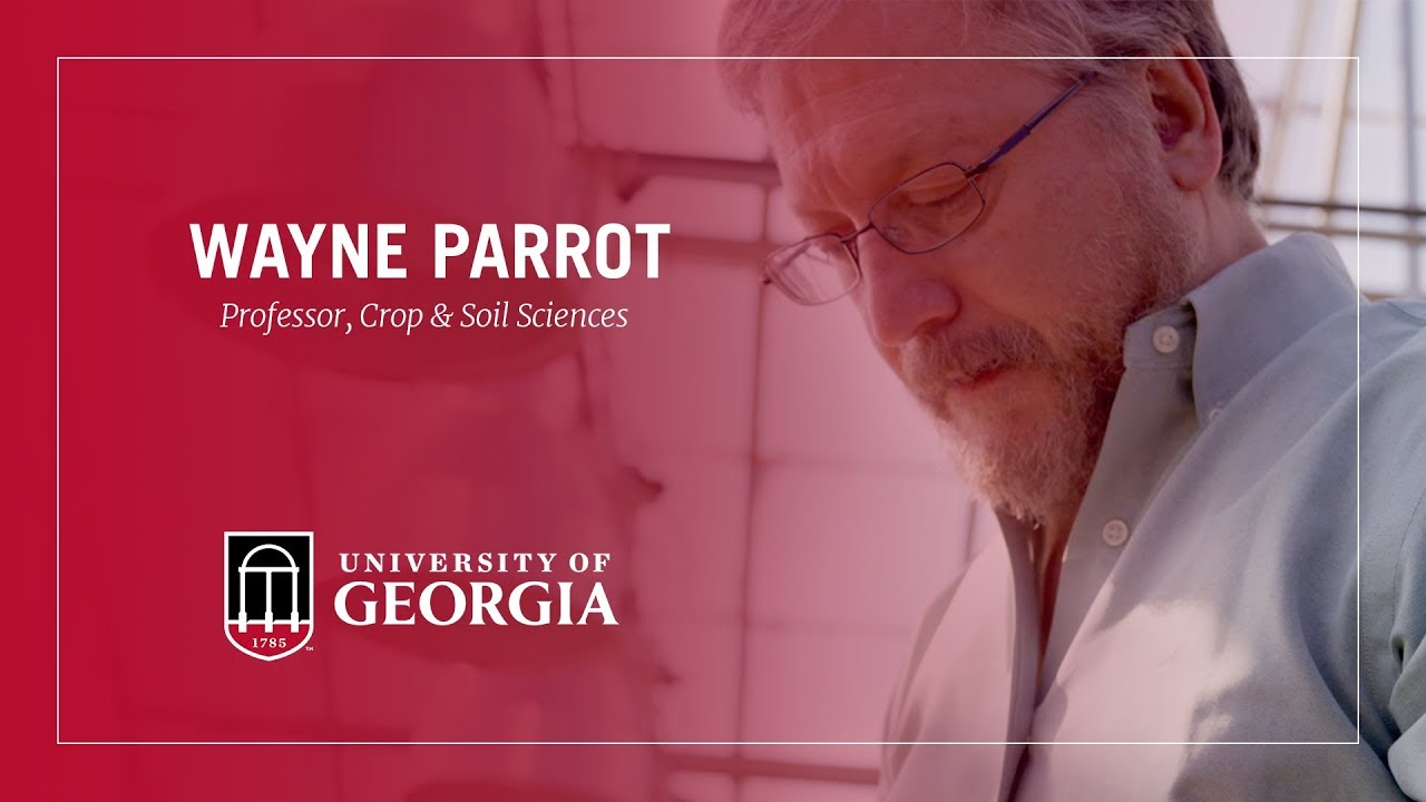 2018 Distinguished Research Professor – Wayne Parrott