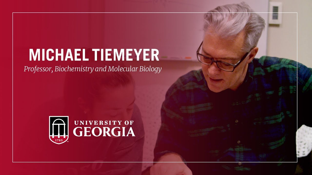 2018 Distinguished Research Professor – Michael Tiemeyer
