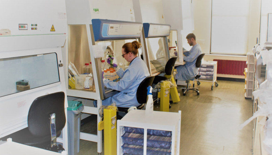 A lab within Absolute Antibody’s recombinant antibody production facility in Northeast England. (Photo by Absolute Antibody)