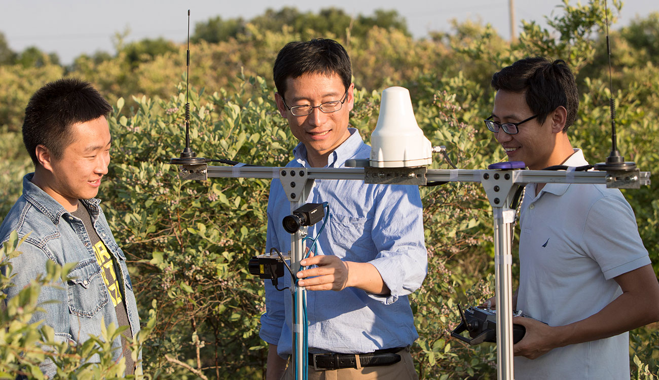 Changying "Charlie" Li (center) working with an agriculture robot in a blueberry field.