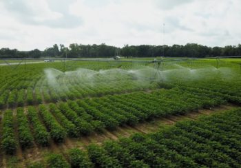 Precision agriculture helps Georgia farmers
