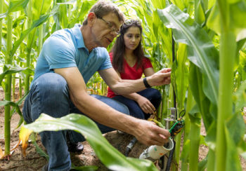 Professor George Vellidis works with graduate student Anna Orfanou on checking the circuit board of a University of Georgia Smart Sensor Array node.