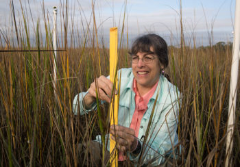 Merryl Alber, a professor in the Franklin College of Arts and Sciences department of marine sciences