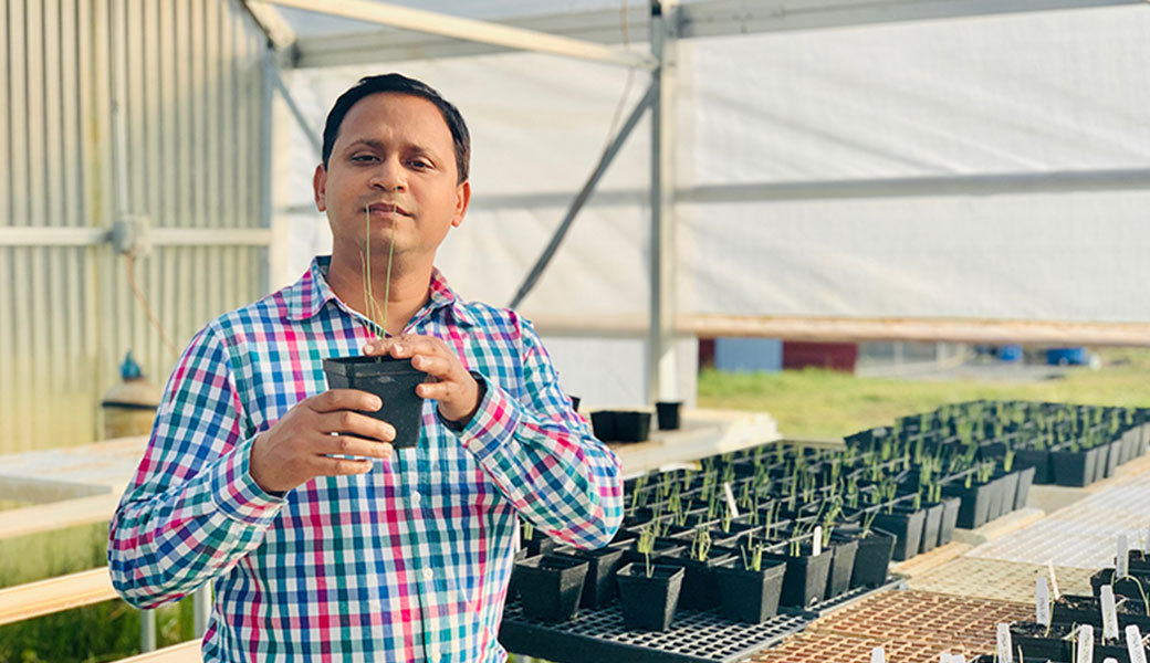 The three-year National Institute of Food and Agriculture grant, valued at $498,793, supports a collaborative project to study organic management methods for center rot disease. The study is headed by UGA Extension plant pathologist Bhabesh Dutta and researchers from Michigan State University.