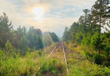 This photo won the People's Choice Award at the exhibit and was taken of old train tracks not in use, at the Savannah River Site