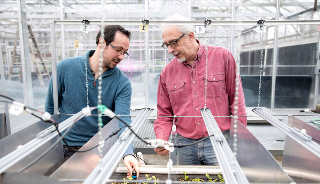 Erico Mattos (left) co-founded his startup company Candidus with Mark van Iersel, Dooley Professor of Horticulture, CAES. Candidus uses lighting sensors to improve greenhouse farming production.