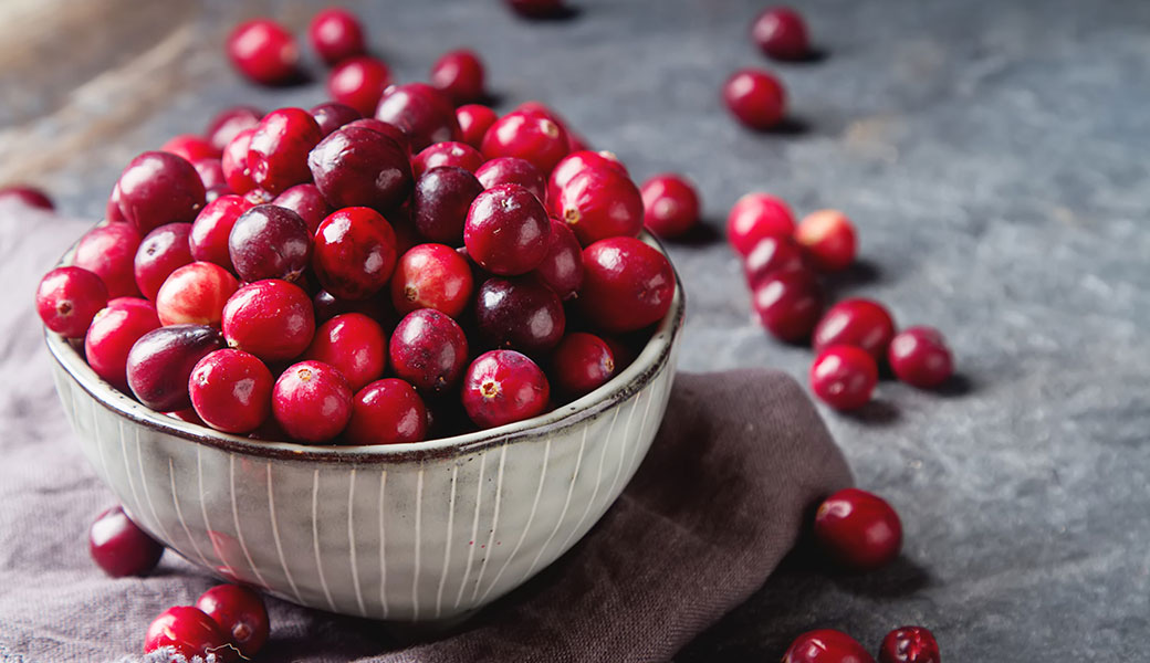 image of a bowl of cranberries