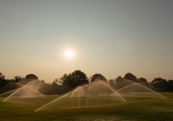 image of turfgrass being watered by sprinklers
