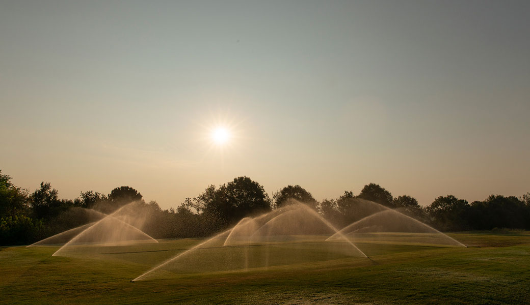 image of turfgrass being watered by sprinklers