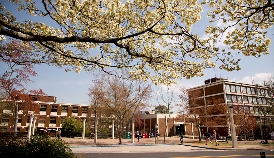 photo of UGA's chemistry and biological sciences buildings