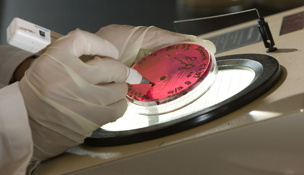 Photo of a petri dish in a lab