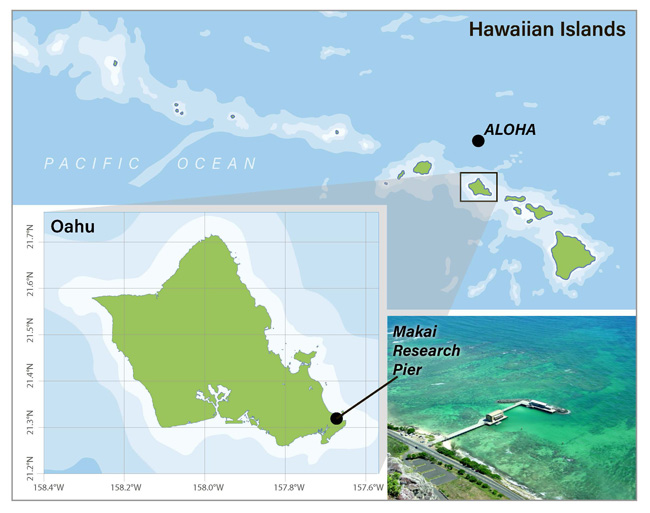 graphic illustration of research fields in Hawaii