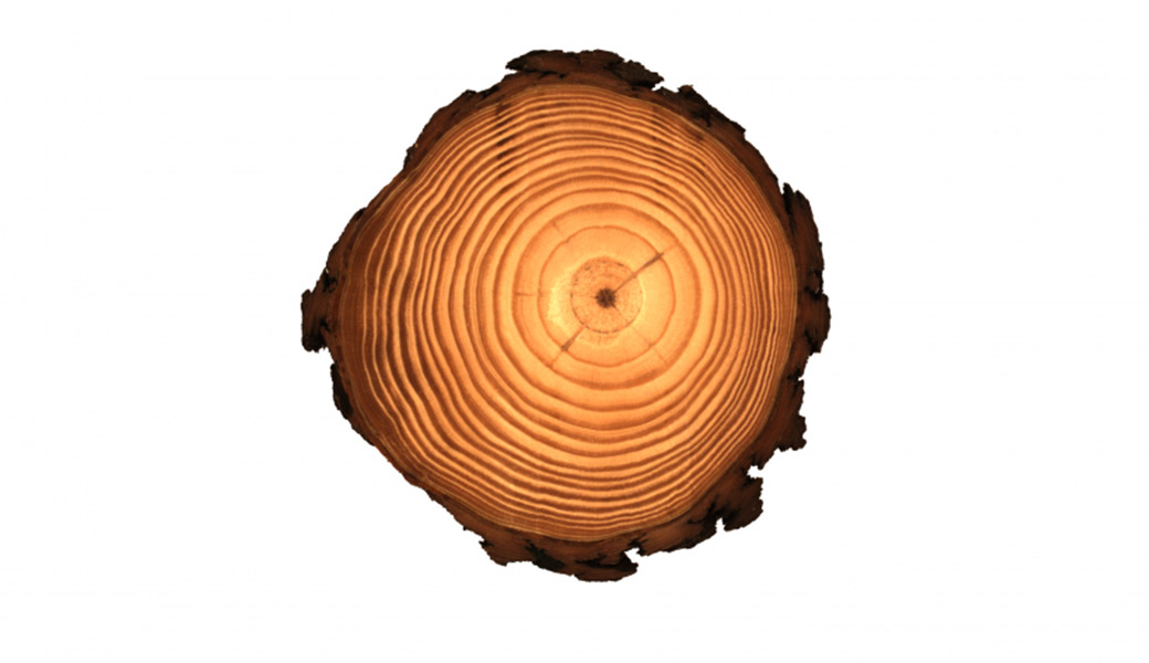 image of wood piece