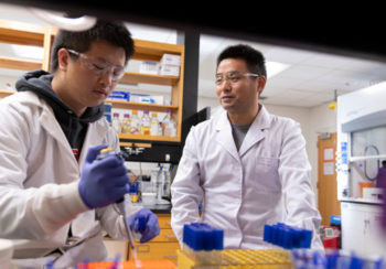 image of professor and student in lab
