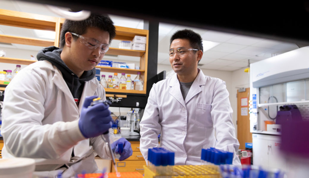 image of professor and student in lab