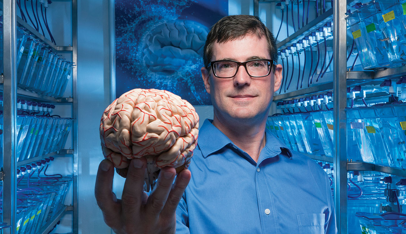 University of Georgia research Jim Lauderdale holds model of human brain