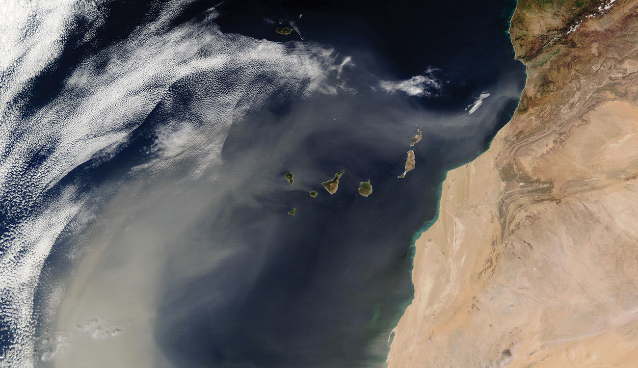 satellite image of dust blowing off the western coast of Africa
