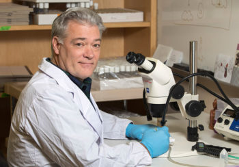 Michael Tiemeyer in his biochemistry and molecular biology laboratory.