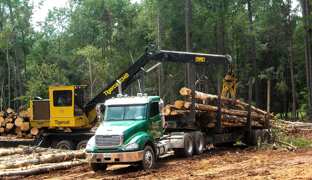 photo of logging trucks