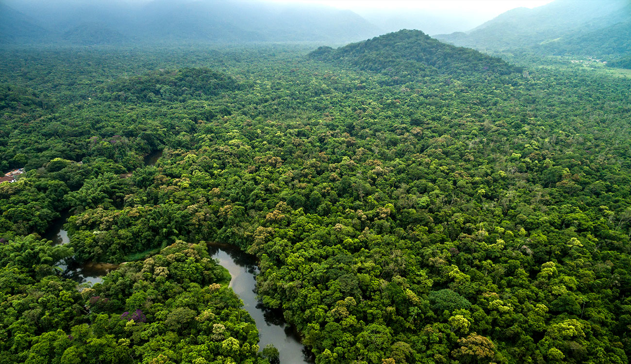 aerial of Brazilian rainforest