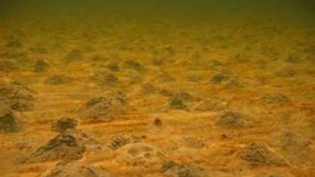 Image of ocean floor sediment