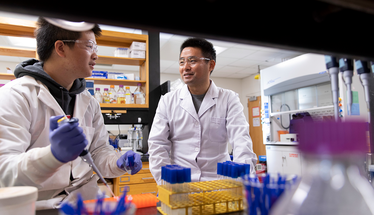 University of Georgia researcher Yajun Yan in laboratory with student