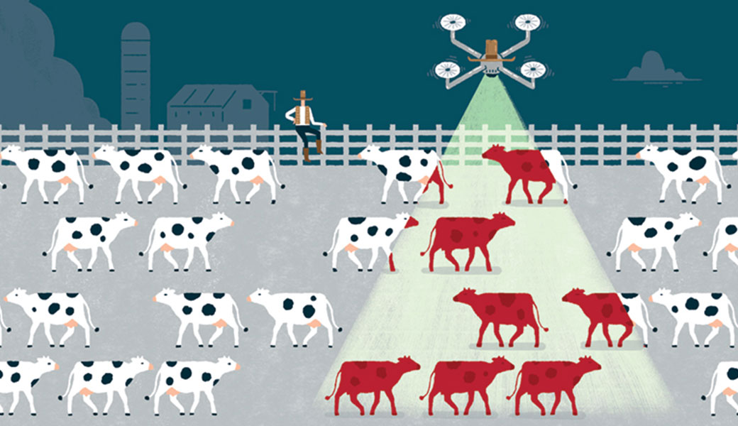 illustration of drone hovering over cattle