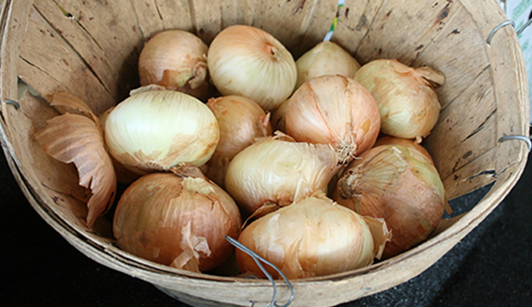 photo of a bucket of onions